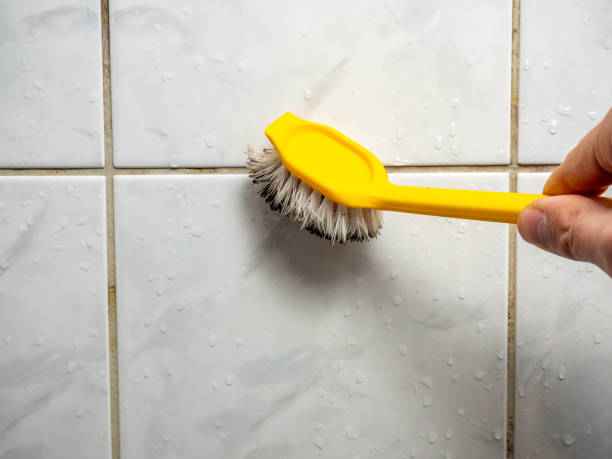 Best Commercial Mold Removal  in Manteno, IL