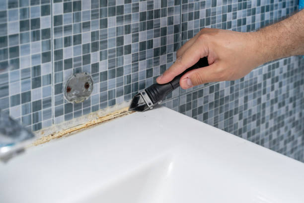 Best Toxic Mold Removal  in Manteno, IL