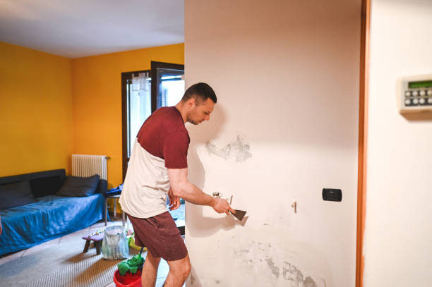 Best Office Mold Removal Services  in Manteno, IL